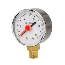 BiWorld 10 Bar Pressure Gauge c/w 1/4" Side Connection