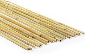 Ambassador Bamboo Canes 5' Pack 10